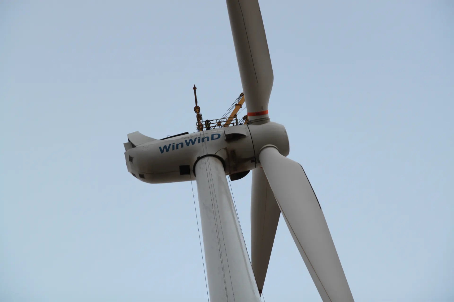 Wind Fan